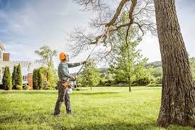 Best Arborist Consultation Services  in Eastport, NY